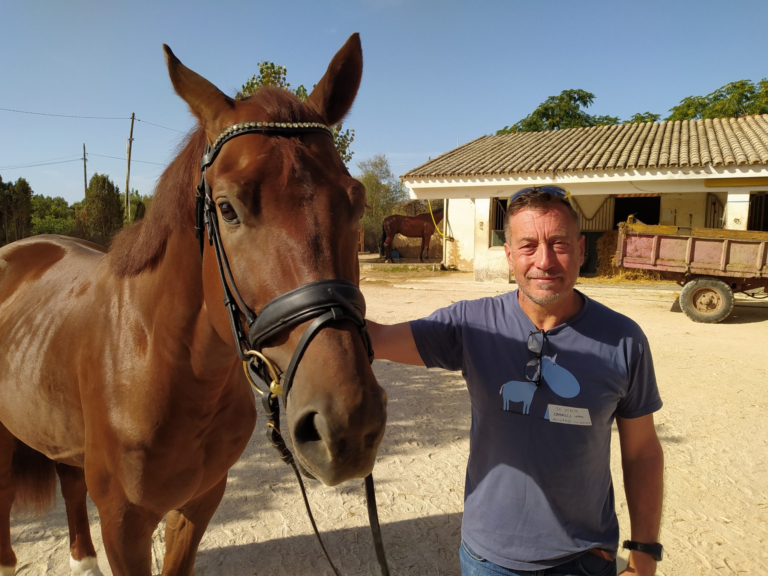 Miquel Cañellas: “Necessitam persones formades per cuidar els 14.000 cavalls que hi ha a les Illes Balears”