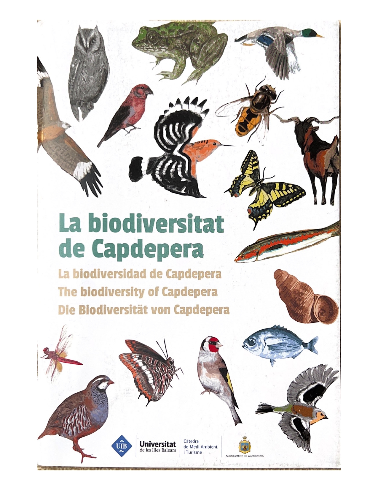 Capdepera edita un llibre sobre la biodiversitat de la zona