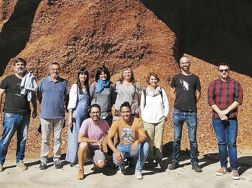 L'aprofitament de la biomassa forestal, un negoci encara per implantar a Mallorca
