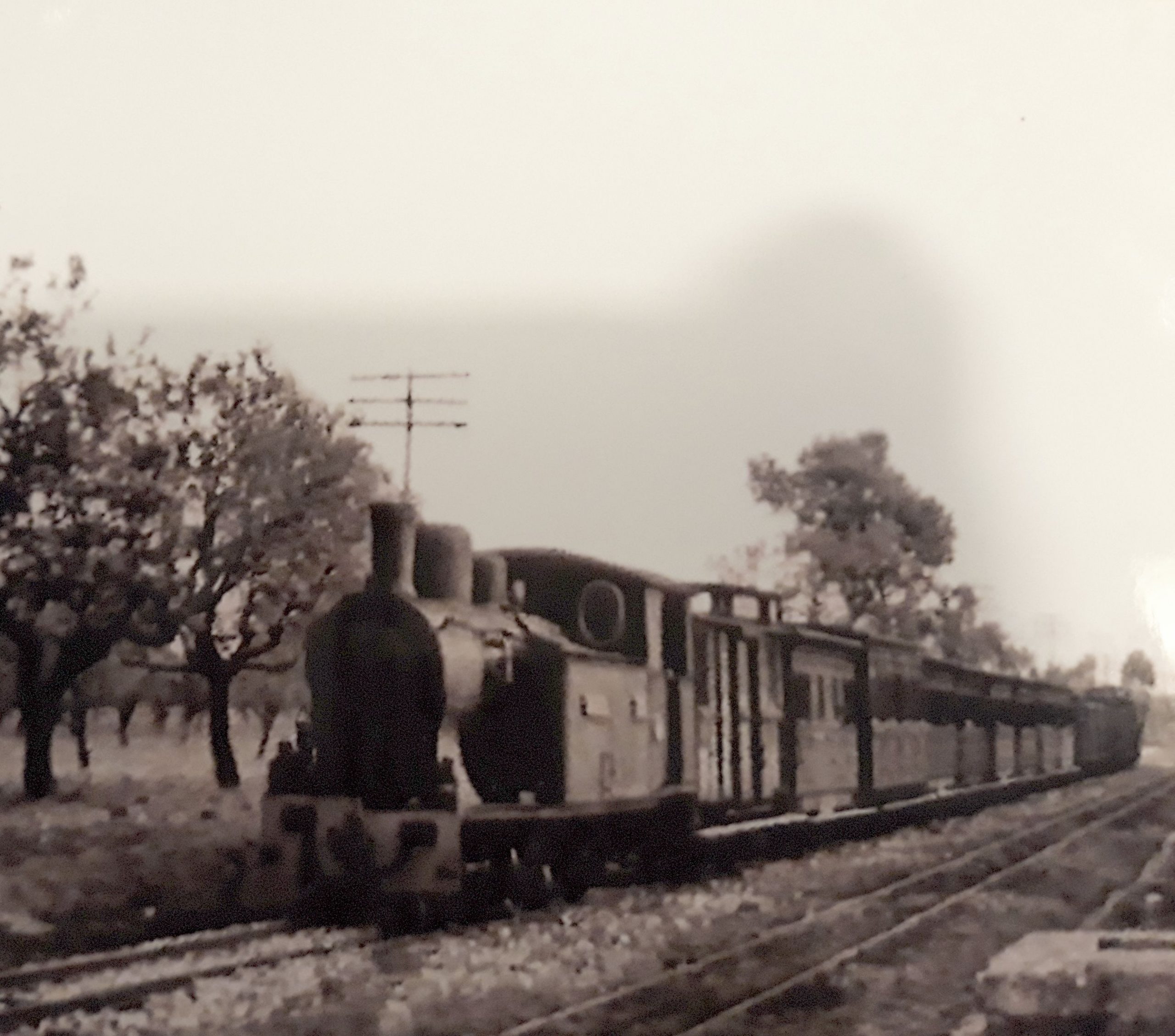 Arribada, fuita i tornada del tren a sa Pobla (1878 a 2002)