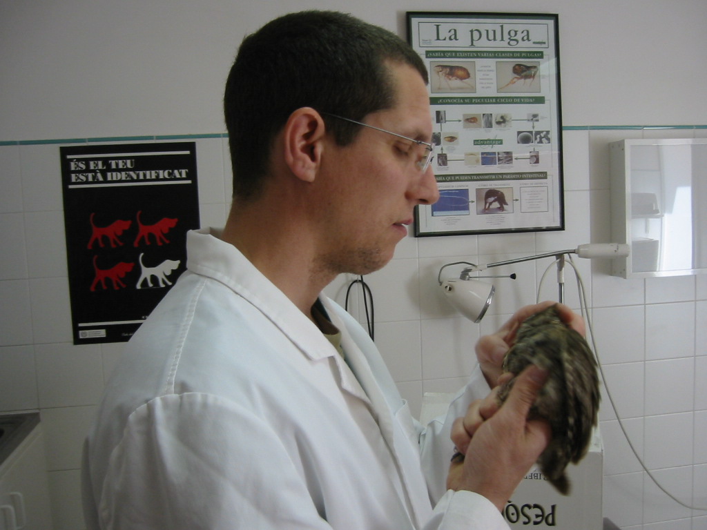 Premi del GOB per a Jaume Pons Bagur i el seu projecte de Recuperació de Fauna Silvestre de Menorca