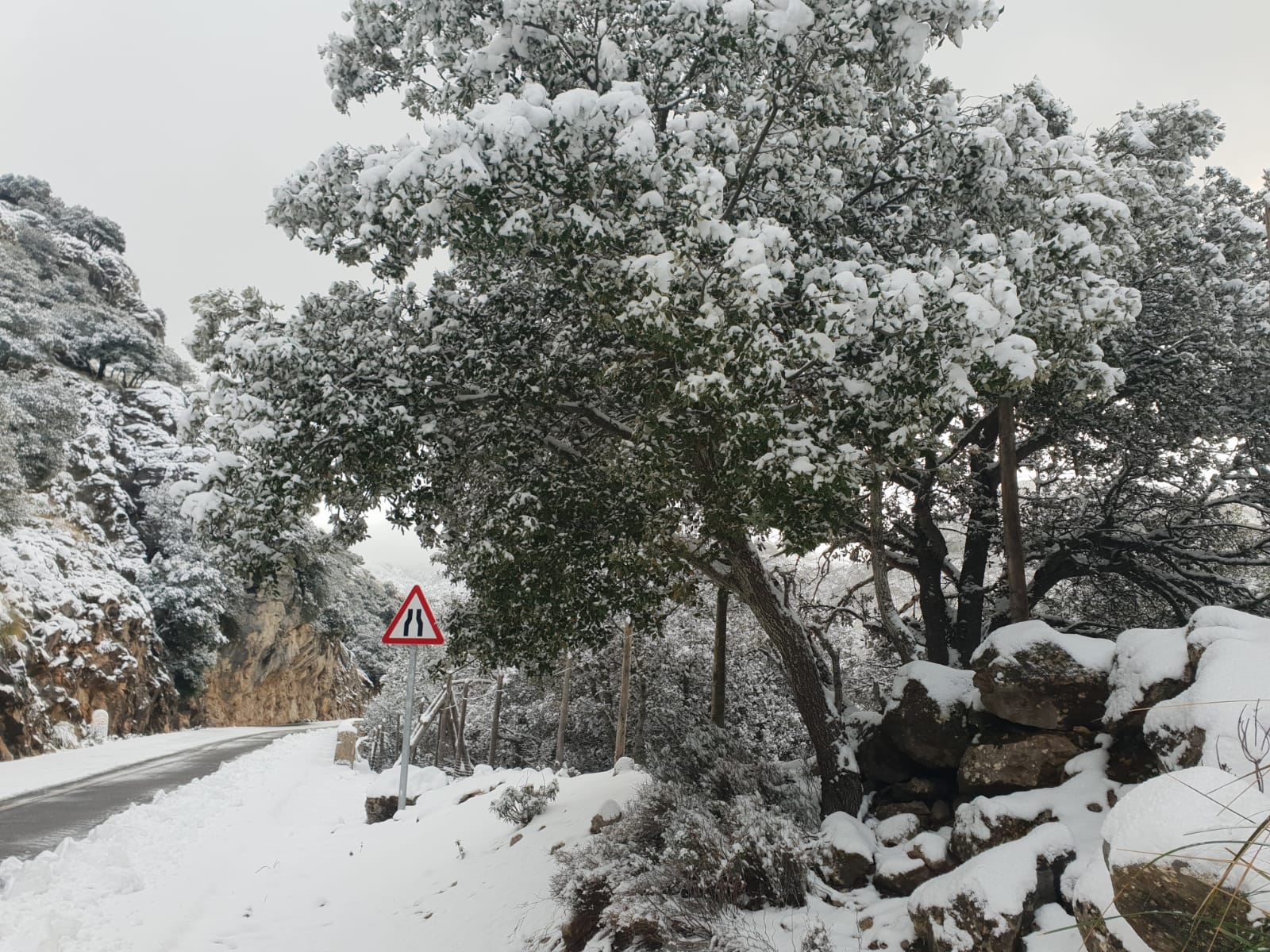 Alerta taronja per neu i vermella per baixa temperatura a partir dels 600 metres a la Tramuntana