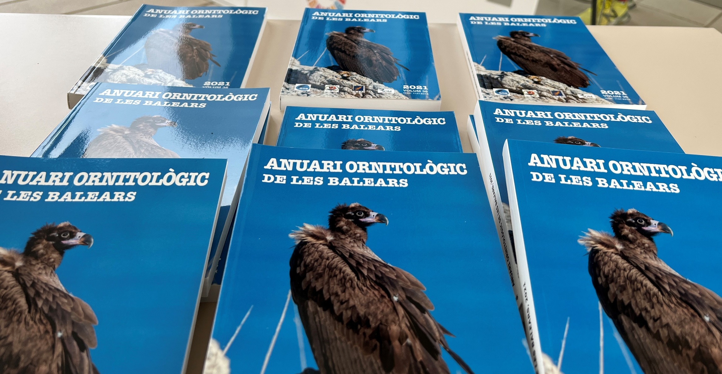 GOB i Endesa publiquen l'Anuari Ornitològic, que arriba a la seva 36ena edició