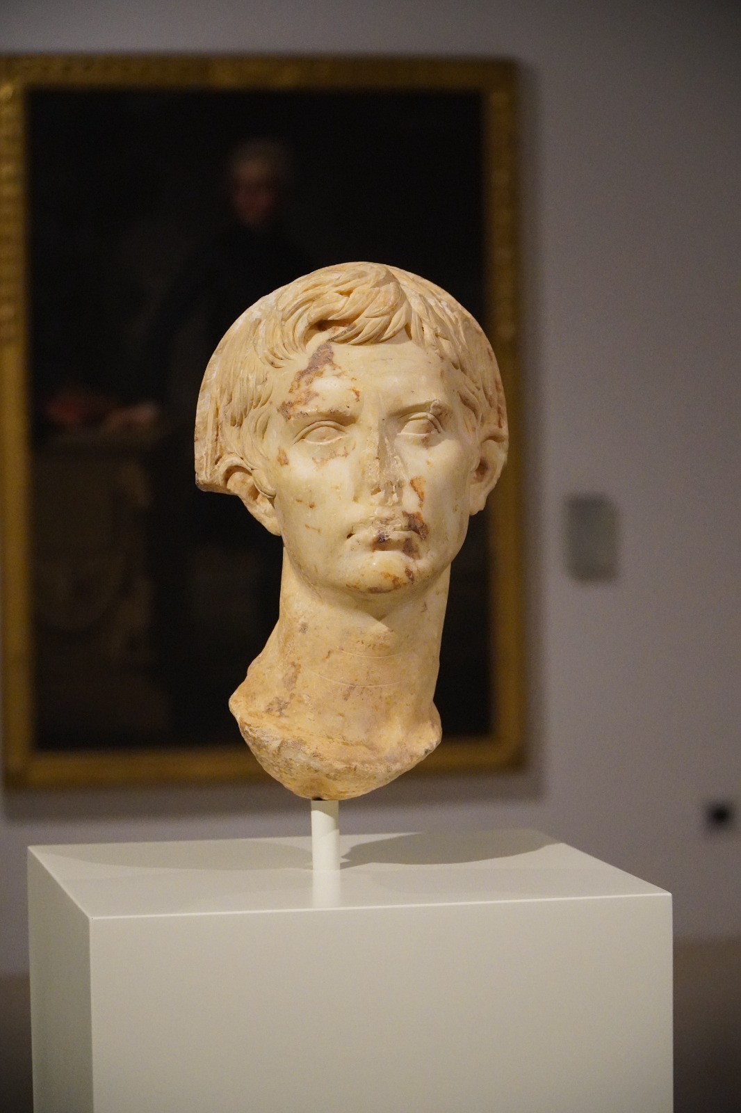 cap romà d'August trobat a Pol·lèntia