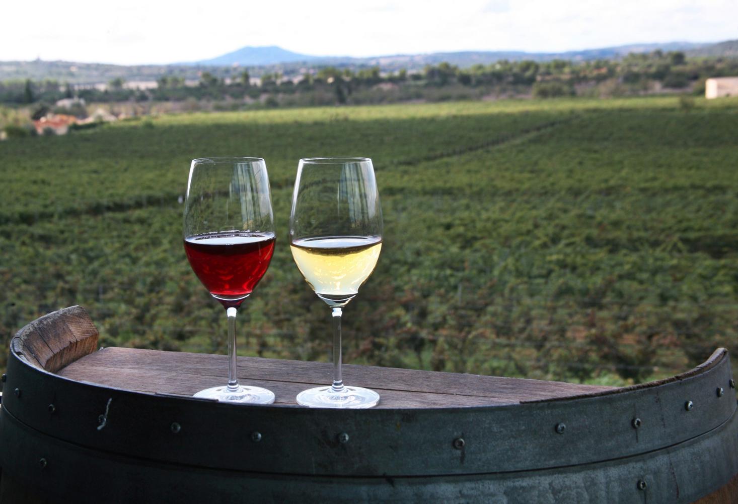 La comercialització dels vins de qualitat creix un 12% respecte de 2021