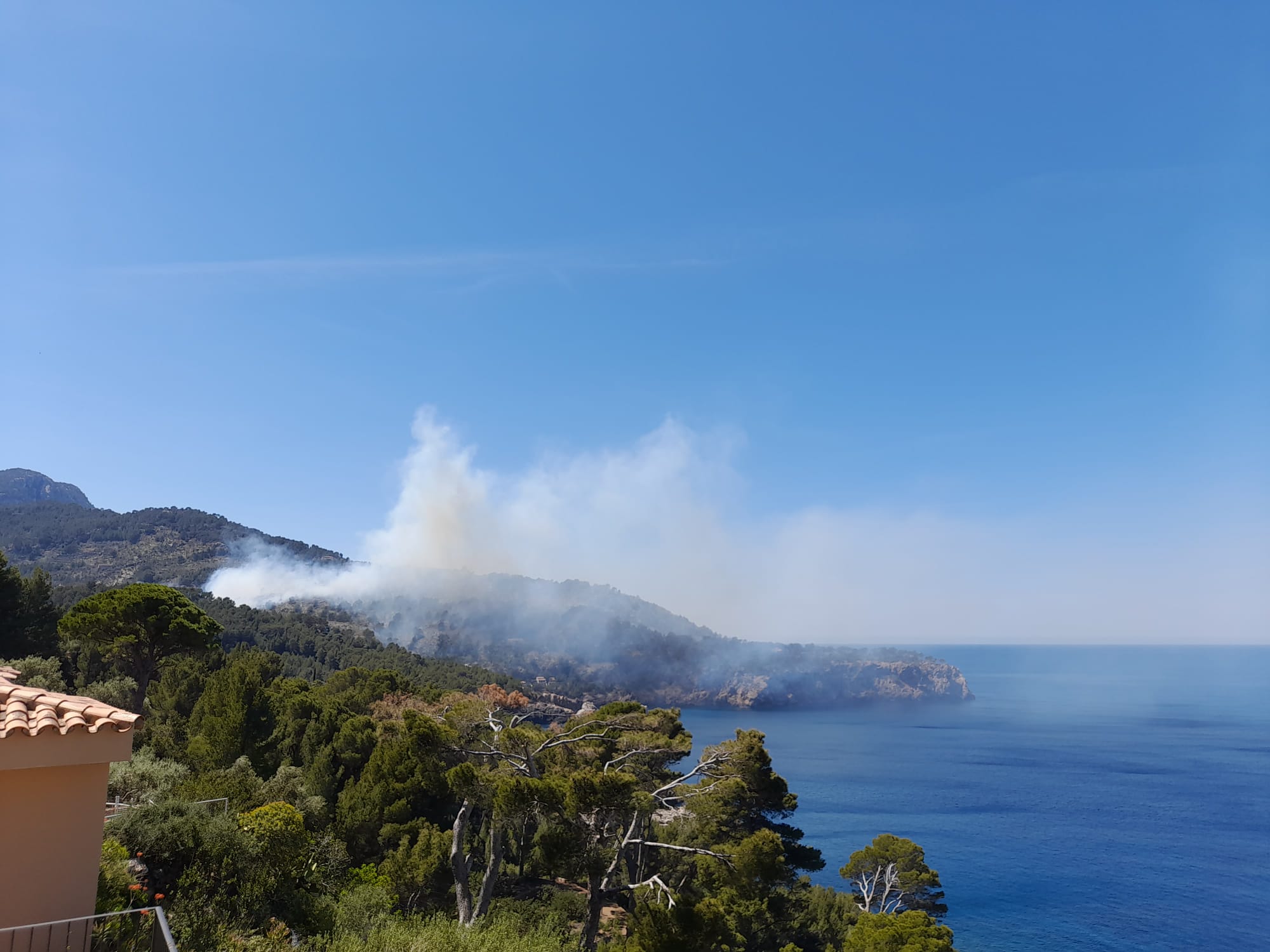 Un incendi crema 8 hectàrees de pinar a Deià i coincideix amb dos més a Son Serra i Mortitx