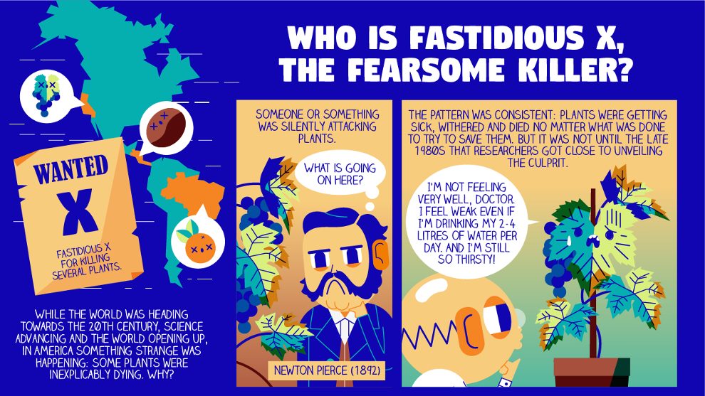 «Fastidious X, the fearsome killer», un còmic europeu per conscienciar sobre els riscs de Xylella