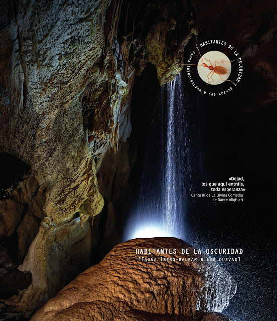 "Habitantes de la oscuridad", el llibre que analitza les 1.700 espècies que habiten a les coves balears i de la península