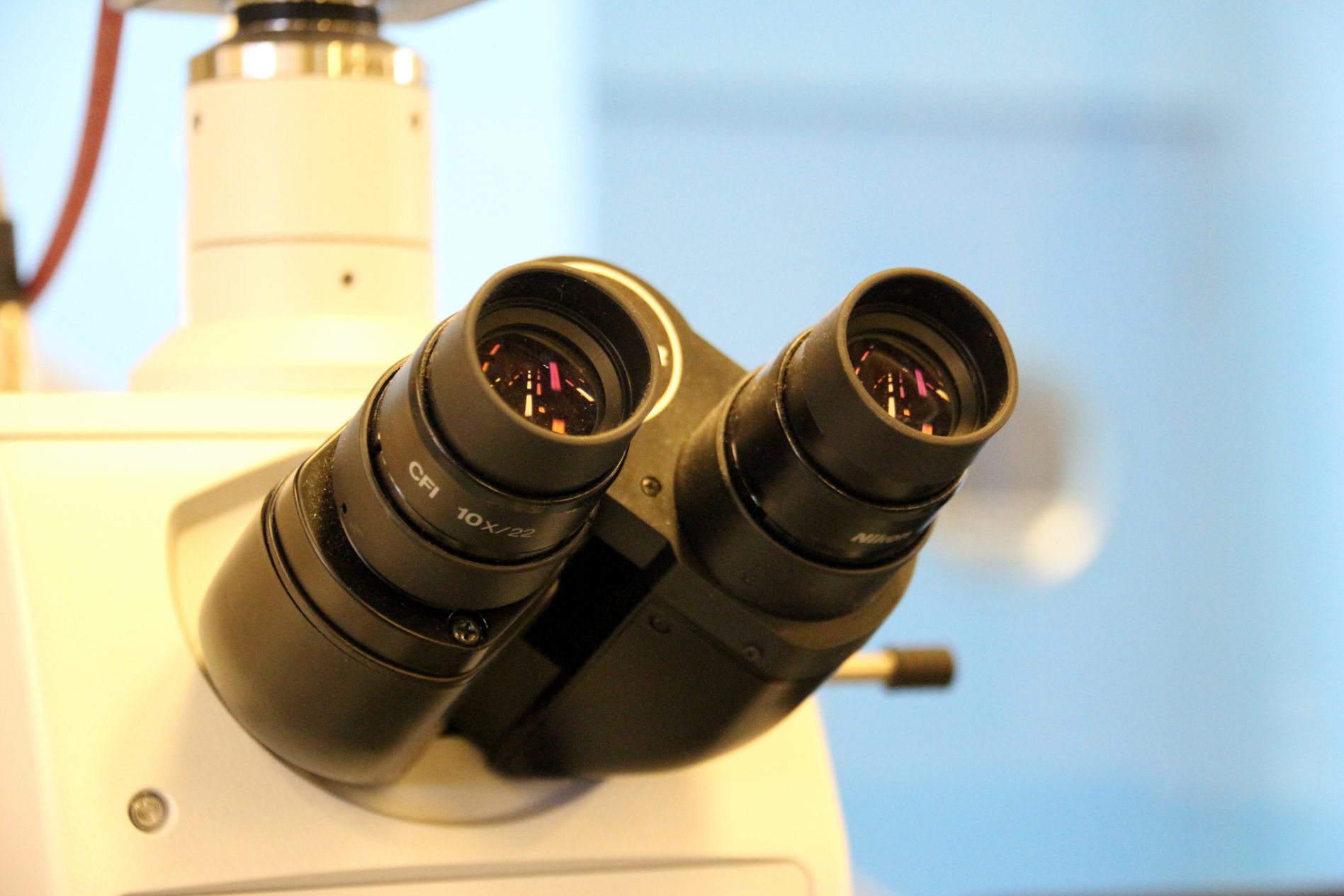La UIB recapta fons per a cinc projectes de recerca contra el càncer