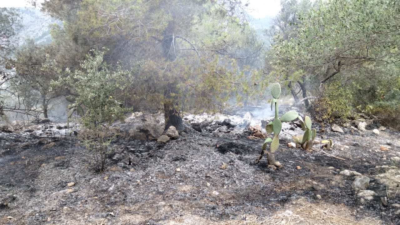 Creix el nombre d'incendis forestals, però la superfície afectada es manté baixa