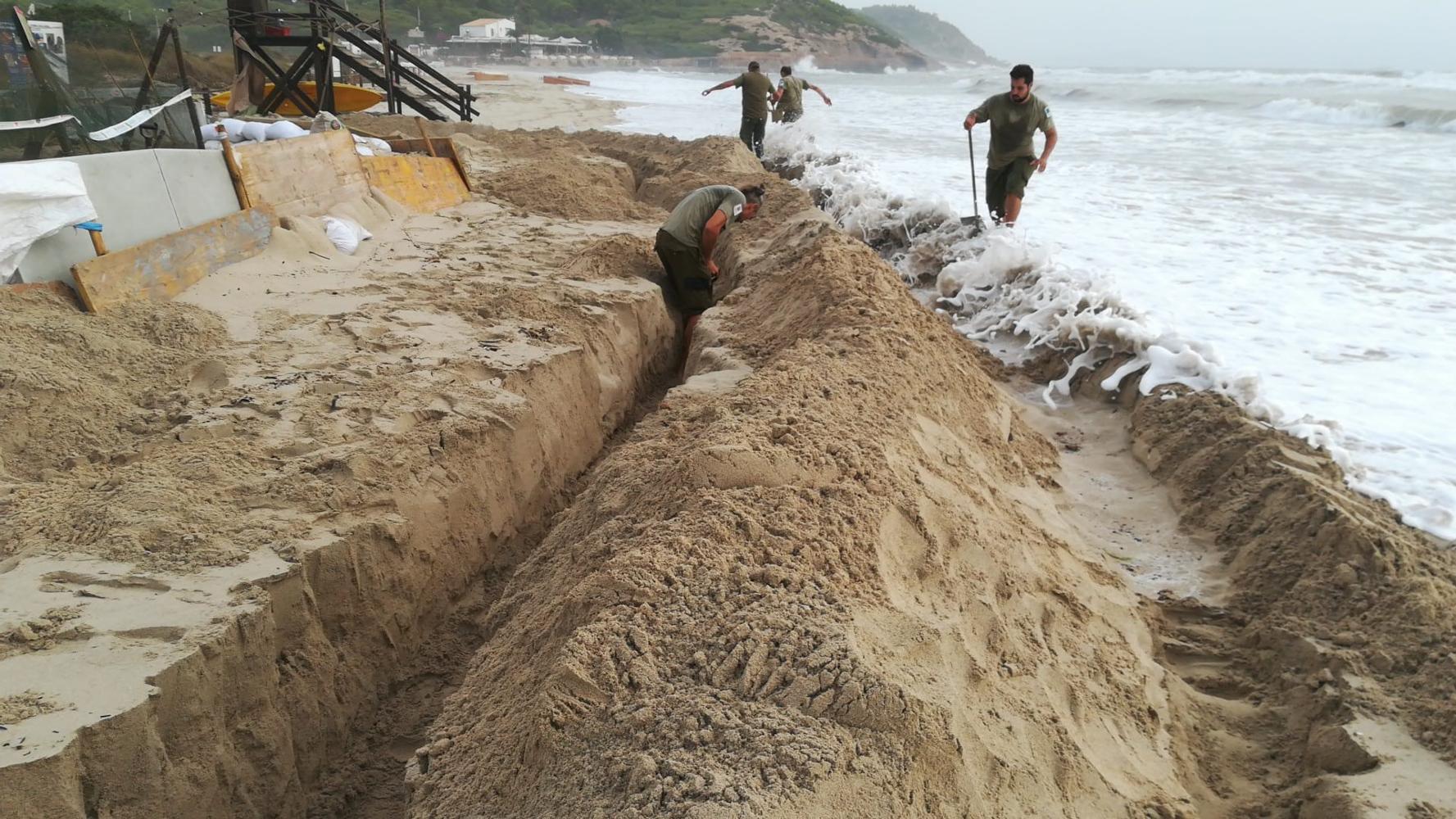 Retirat el darrer niu de tortuga marina de la platja d'Es Cavallet a causa del temporal a Eivissa