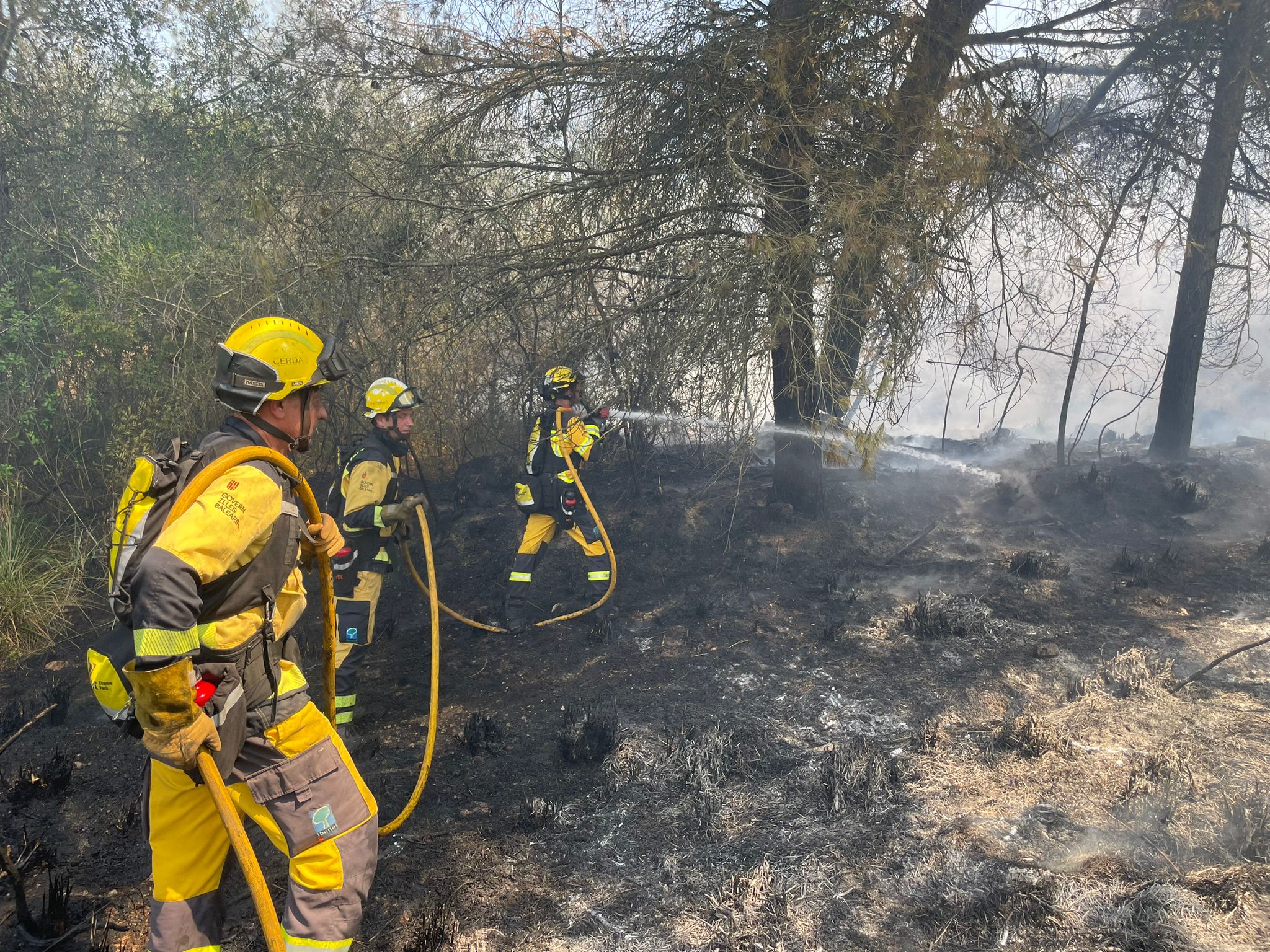 El Govern reforça l'operatiu d'incendis forestals durant el pont per la situació anticiclònica