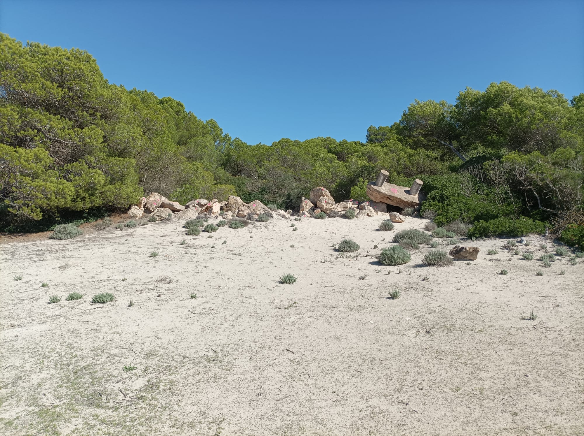 El Govern retirarà residus de construcció de les dunes de s'Arenal de Sa Ràpita