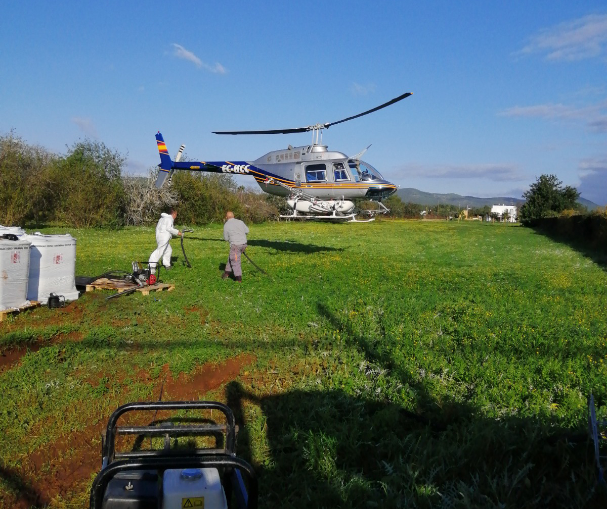 Sanitat Forestal fumigarà el pinar d'Eivissa des d'helicòpter i avió contra la processionària