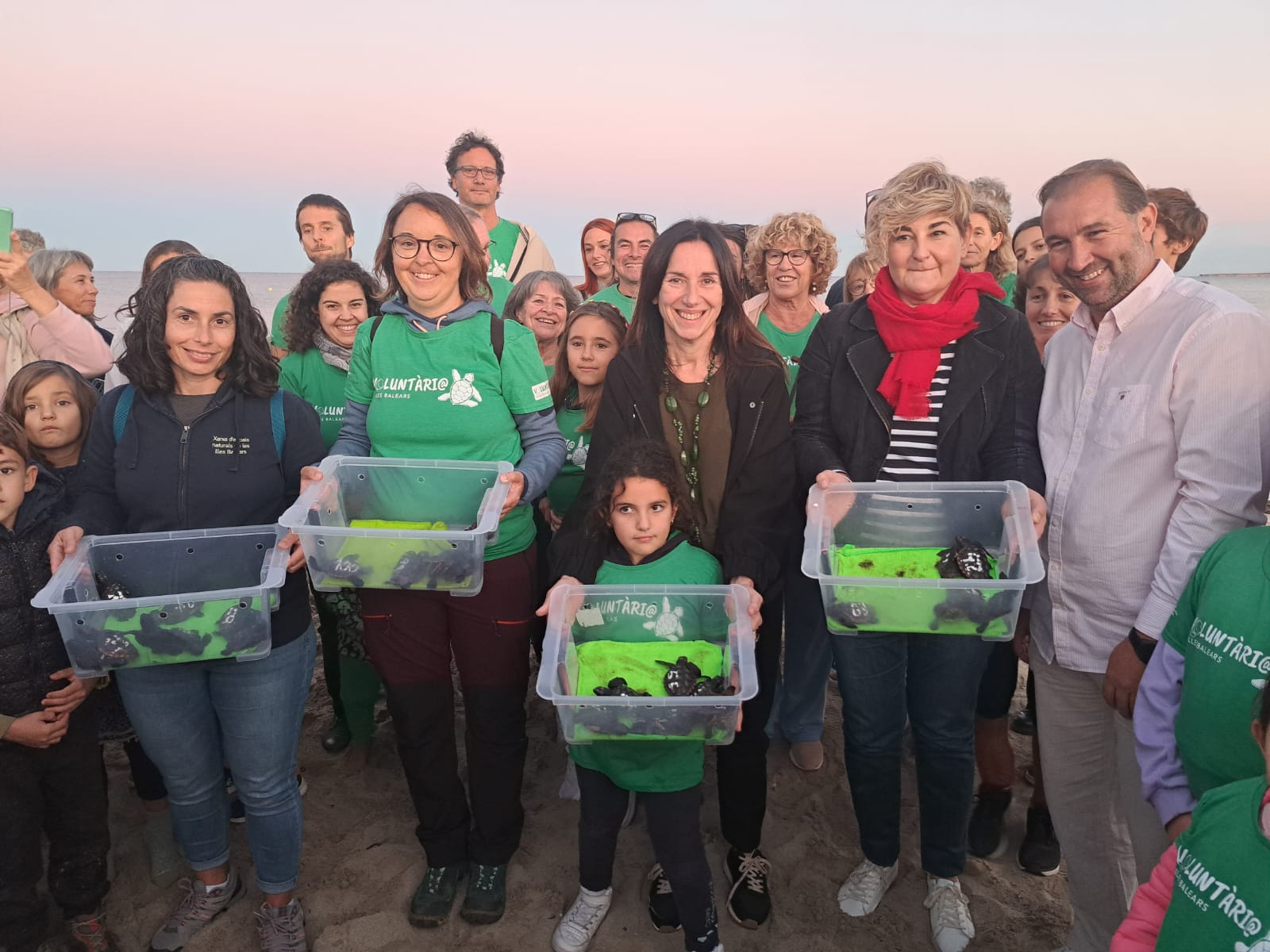 Alliberades a la mar 47 tortugues nascudes aquest estiu a platges d'Eivissa i Mallorca