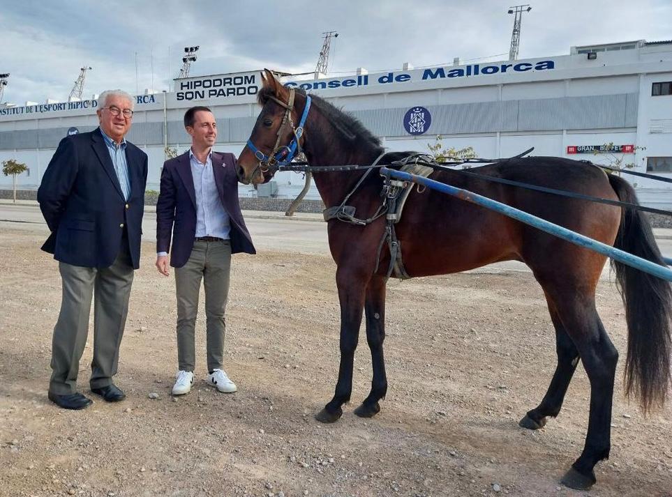 El Consell de Mallorca vol recuperar aquesta legislatura "l'esplendor del trot"