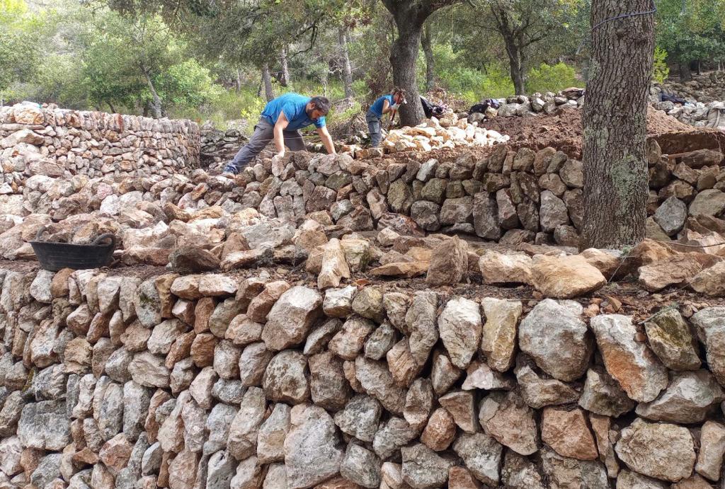 Vint alumnes acaben la seva formació agroforestal i de paret seca a Son Amer