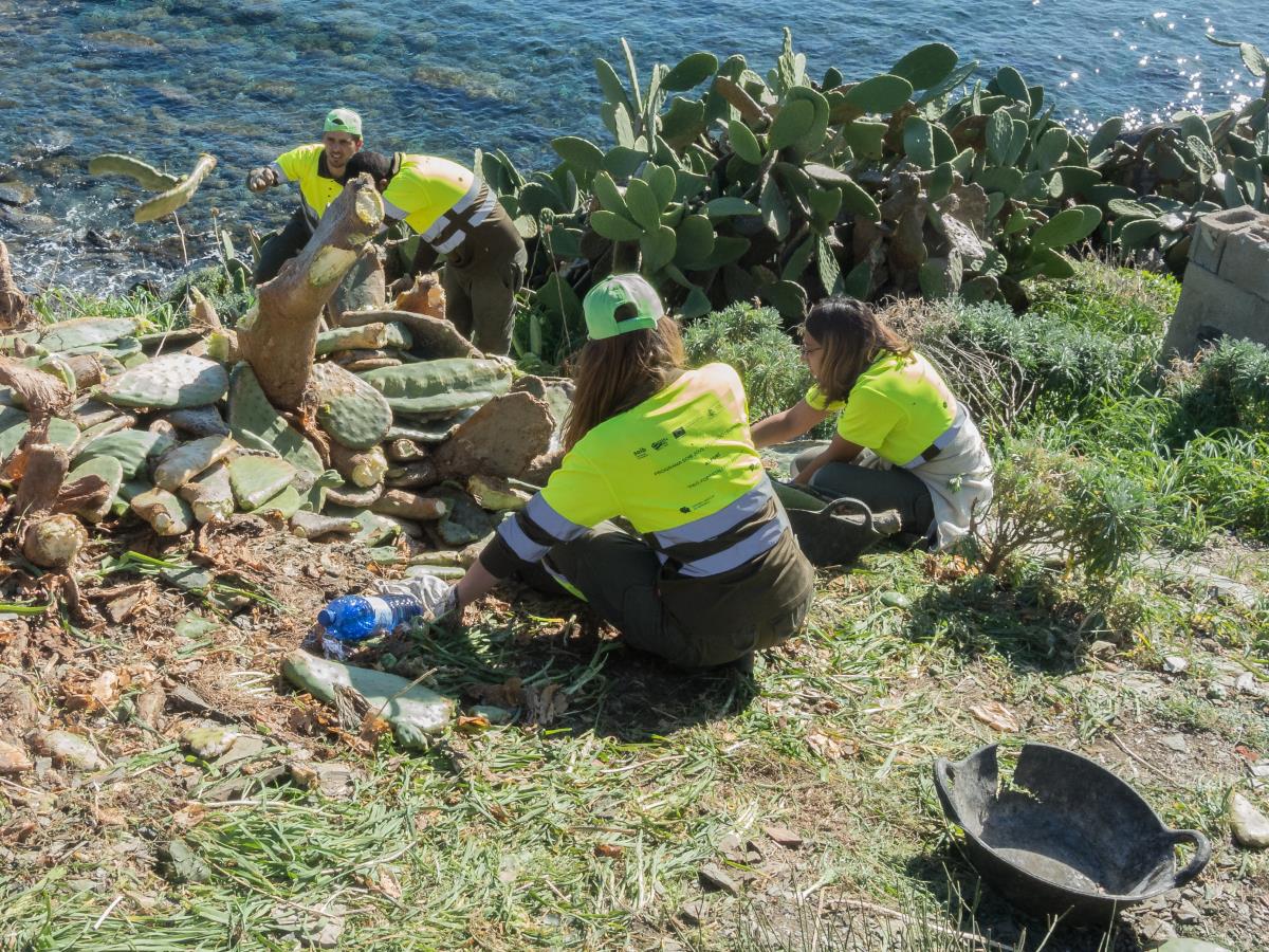 Menorca Reserva de Biosfera incorporarà una brigada per a l'eliminació d'espècies exòtiques invasores