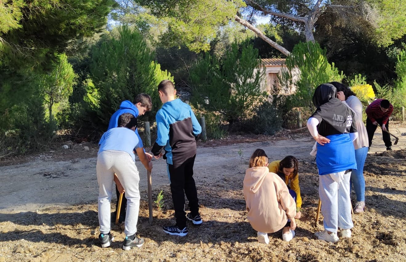 Estudiants de Santanyí fan dues jornades de voluntariat ambiental al parc de Mondragó