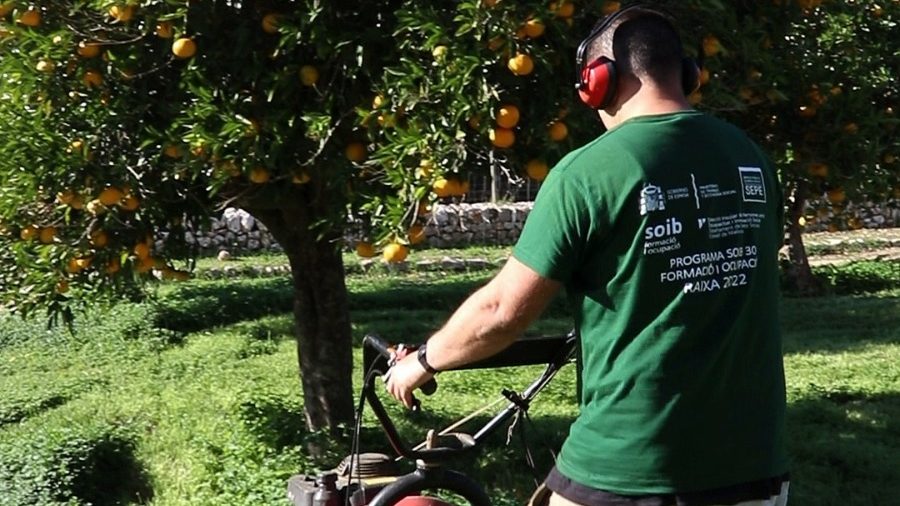 Un nou programa a Raixa per formar discapacitats en l'àmbit de la jardineria i l'agricultura