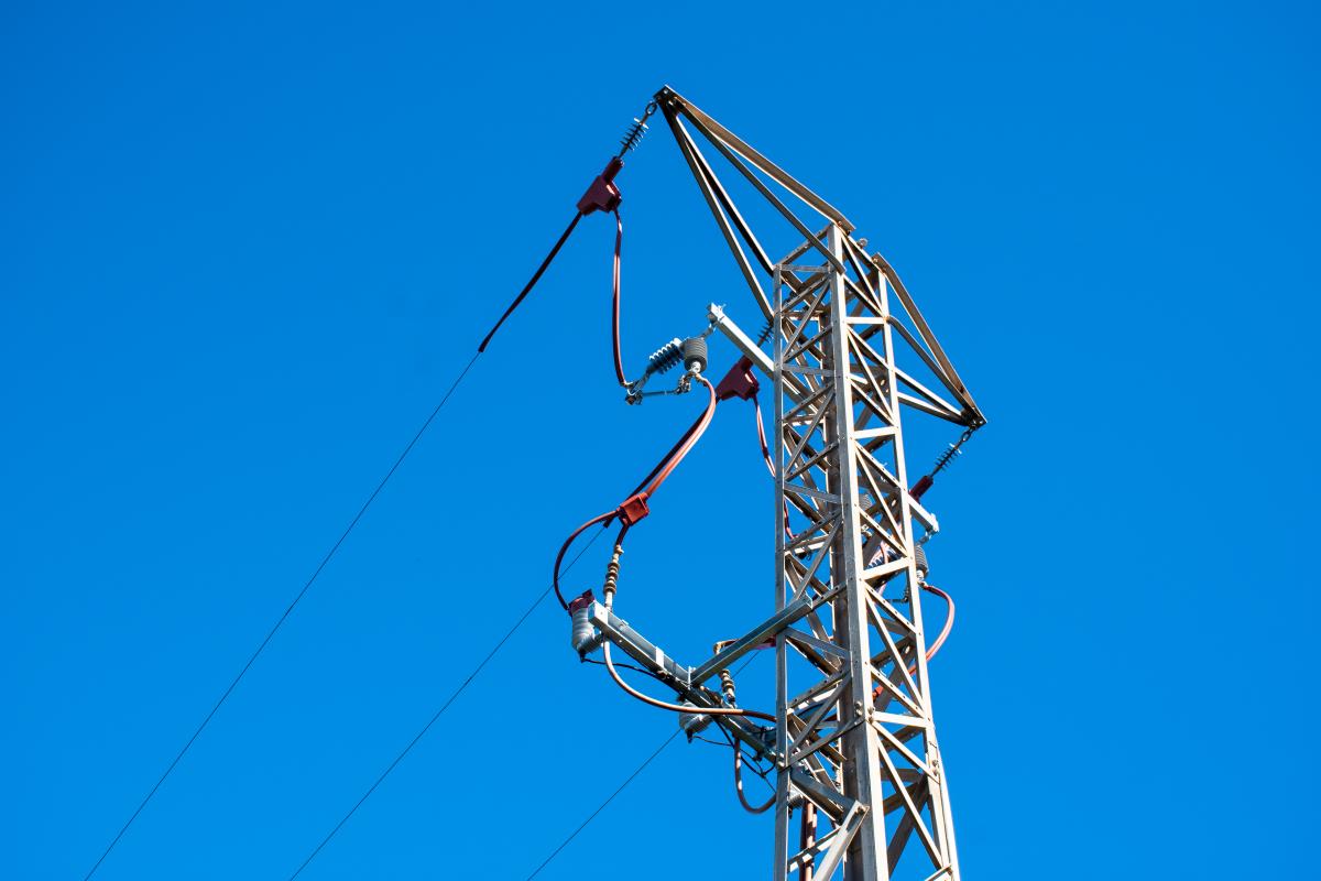 Menorca aïlla les torres elèctriques del Llatzeret per evitar l'electrocució de més aus