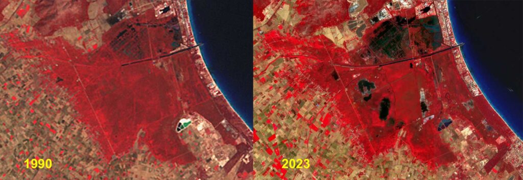 El GOB documenta la regressió de s'Albufera amb imatges captades per satèl·lit