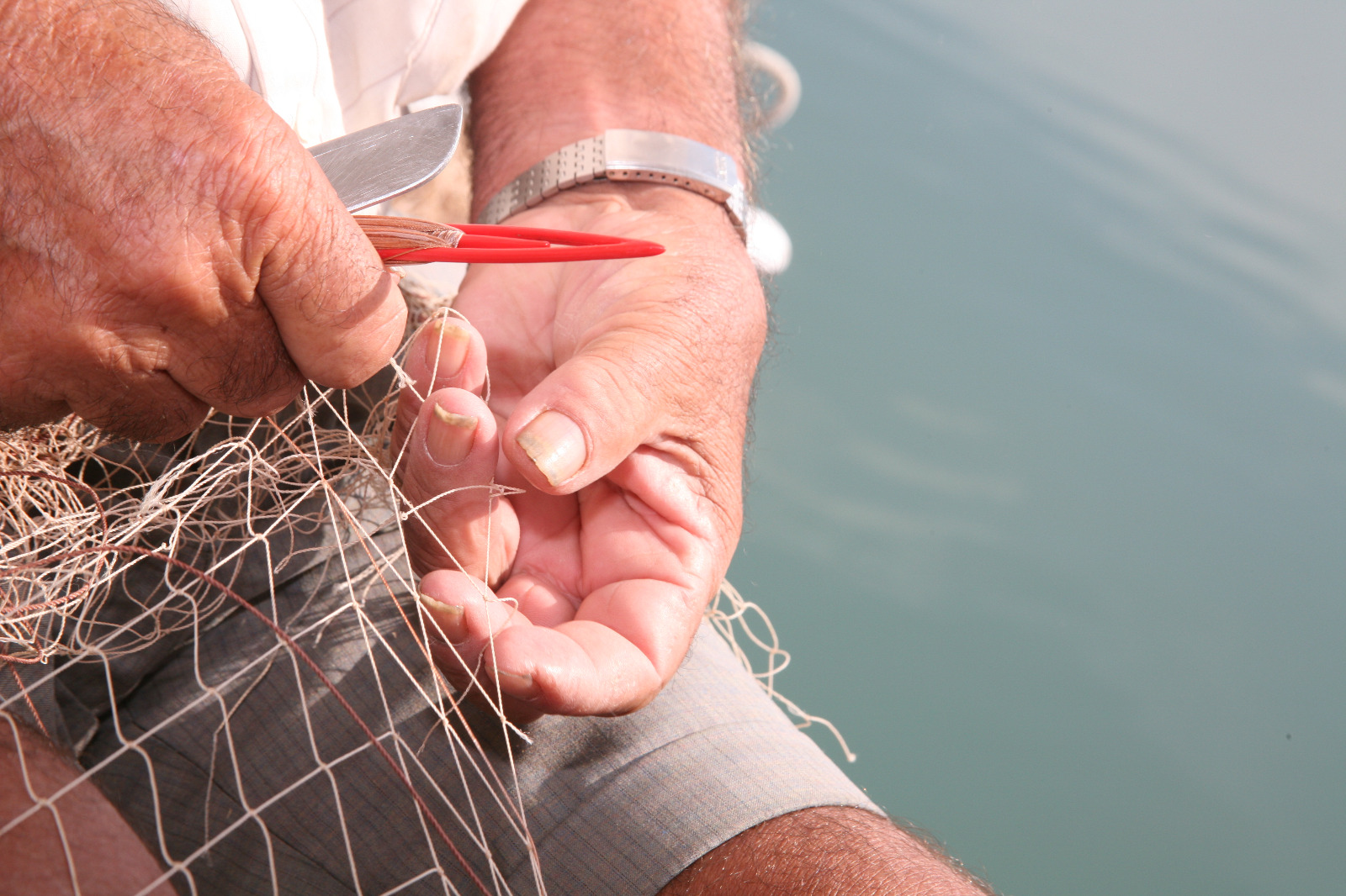 El Govern puja un 15% les ajudes destinades a les confraries de pescadors