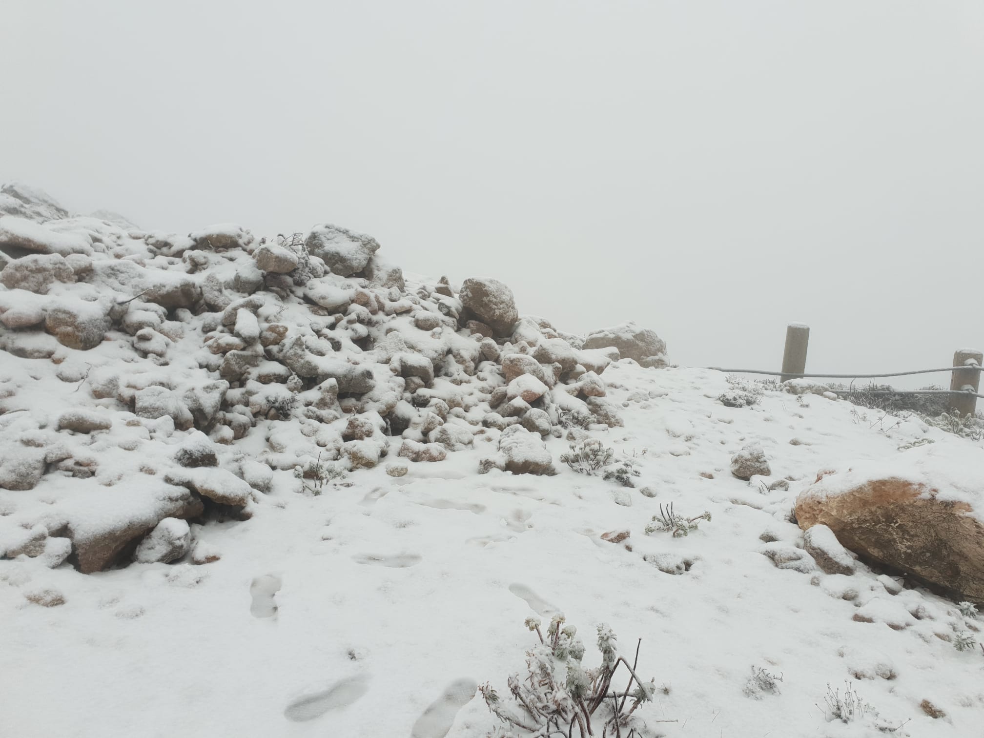 Un mes de febrer amb contrastos: el cinquè més càlid, però amb neu al Puig Major