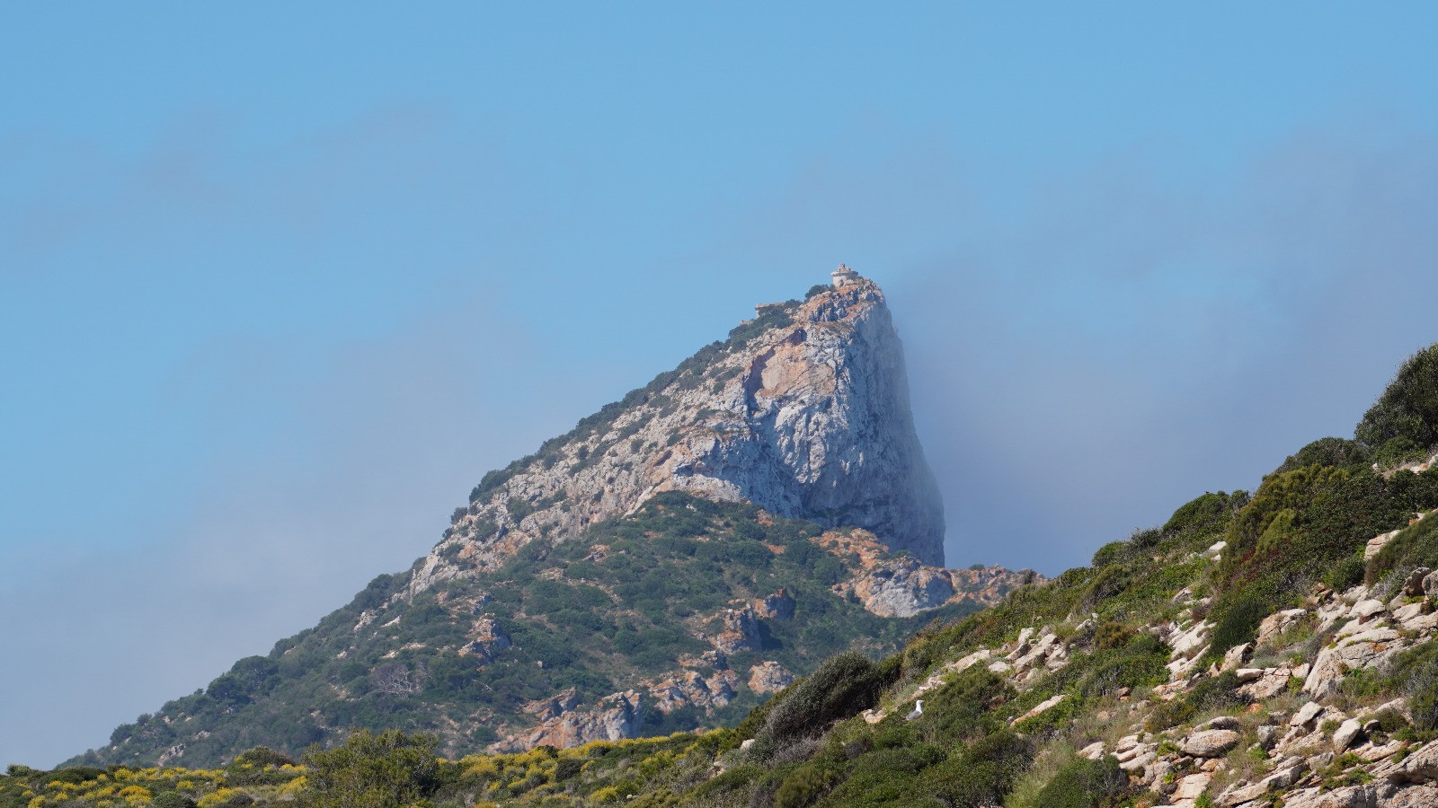 El Consell de Mallorca incrementa un 10,3 % el pressupost destinat al Parc Natural de sa Dragonera per a aquest 2024 respecte al de 2023, en destinar 828.475 euros per a l'exercici d'enguany enfront dels 750.869 de l'any passat. L'autoritat de gestió del parc, composta pel Departament de Medi Ambient, Medi Rural i Esports del Consell de Mallorca i la Conselleria d'Agricultura, Pesca i Medi Natural del Govern de les Illes Balears es va reunir per fer balanç de les activitats duites a terme durant 2023 i aprovar el Programa Anual d'Execució del Parc de sa Dragonera (format per l'illa de sa Dragonera i els illots des Pantaleu i sa Mitjana). En total, el programa del parc per a 2024 disposa d'un pressupost global d'1.128.628 euros, incloent-hi la partida de la Conselleria, amb una aportació real que s'eleva a 300.207 euros. Entre les novetats destacades del programa d'execució s'inclou la realització d'un inventari de coves en conservació d'hàbitats. El vicepresident i conseller de Medi Ambient, Medi Rural i Esports, Pedro Bestard, ha destacat que la planificació per a 2024 respon a «una aposta clara per preservar la sostenibilitat del parc natural, potenciant els projectes de conservació i protecció d'aquest espai natural protegit». Amb tot, Bestard ha destacat unes altres de les actuacions que es duran a terme enguany, com «les reparacions en diferents instal·lacions del parc» i la realització d'«un estudi per a la canalització de la cova des Moro per optimitzar els recursos d'aigua», així com la importància de «continuar avançant en els estudis de recerca d'espècies, com el falcó marí o la baldriga balear, entre altres». Altres prioritats del programa anual A més, es continuarà amb la conservació de la flora i fauna i també es té previst fer una sessió d'assessorament d'agricultura ecològica a la brigada de l'IBANAT i la recuperació de la zona de sembra. El Programa d'Execució Anual del Parc Natural de sa Dragonera també inclou les prospeccions arqueològiques en la cova des Moro, ja que, avui dia, segons els arqueòlegs, poden tenir un valor rellevant per a l'arqueologia. Pel que fa a l'àrea de recerca i seguiment de diferents espècies d'interès, es continuarà amb el seguiment que s'està fent als corbs de mar (corbs marins), la baldriga balear (virot) i la gavina as Pantaleu i a sa Dragonera, i els estudis sobre la sargantana que també es duen a terme a sa Dragonera. En l'àrea de participació, es continuarà amb el projecte europeu PRO.GRE.S.S i amb el voluntariat amb diferents associacions i la col·laboració amb la xarxa local d'infància i joventut.
