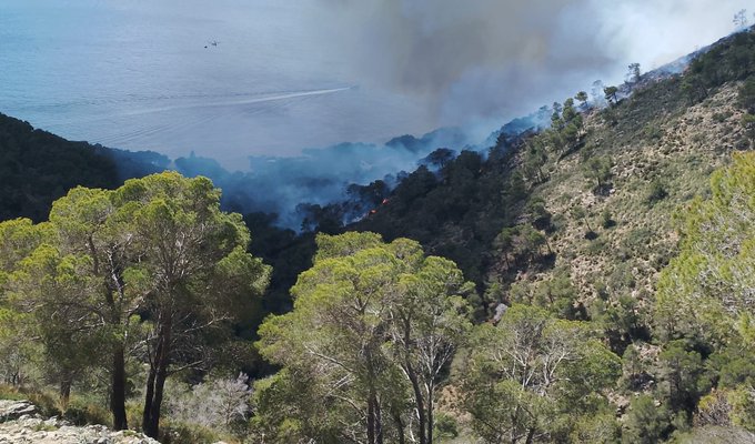 Es declara un incendi forestal de grans dimensions a la Costa dels Pins