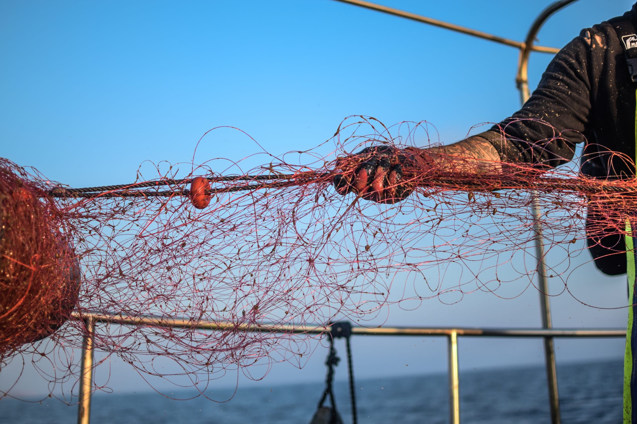 Pesca va obrir a Menorca 14 expedients sancionadors per presumptes infraccions durant 2023