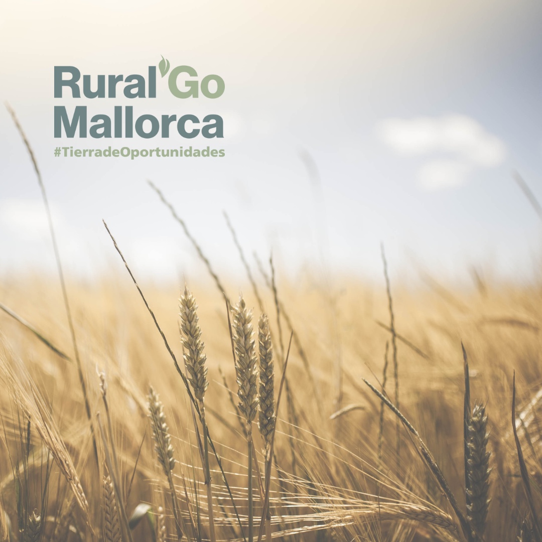 Mallorca Rural i Caixabank convoquen els premis Rural'GO per als millors plans estratègics de fora vila