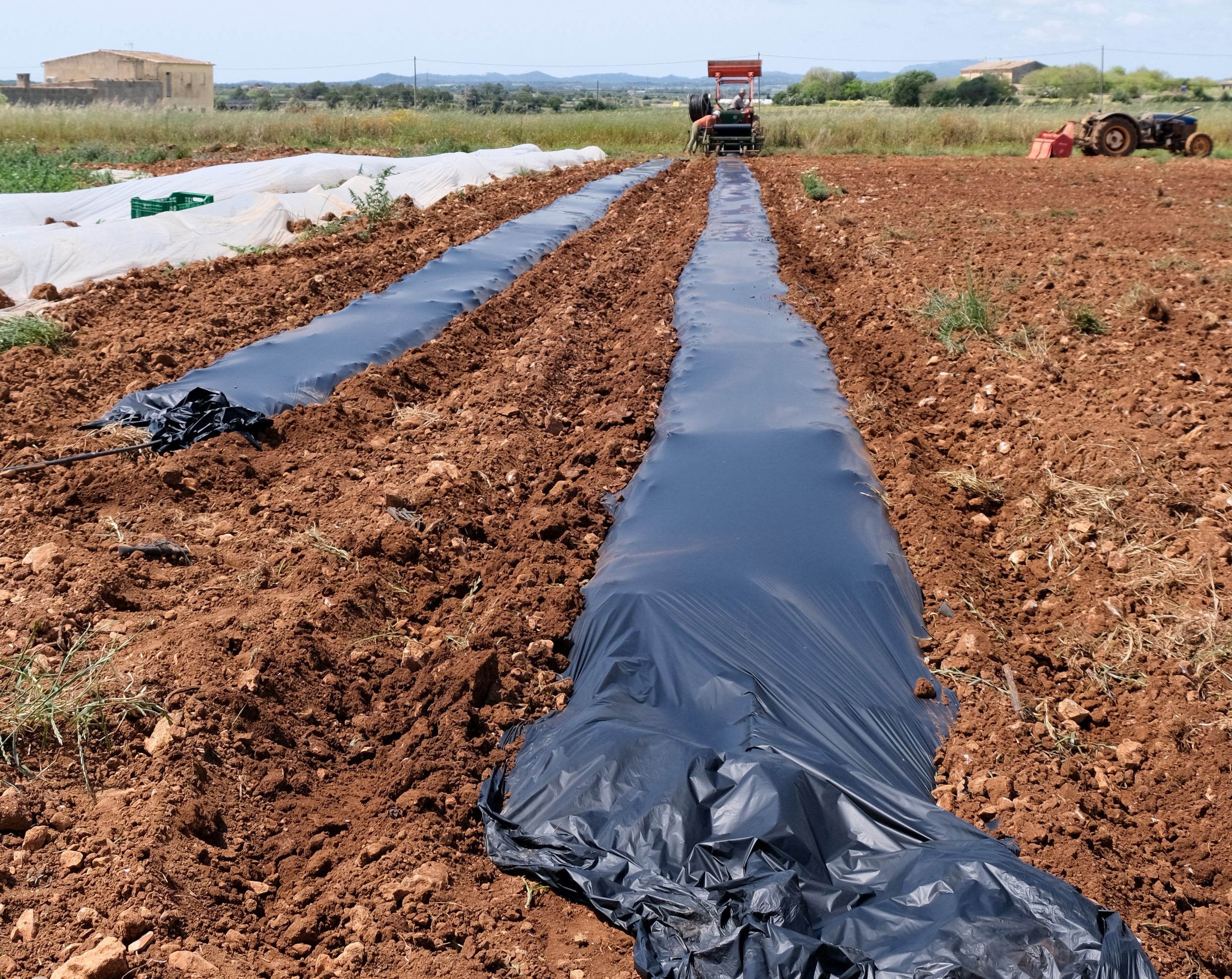 La pagesia ecològica de Mallorca substitueix 138 quilòmetres de plàstic per biofilm biodegradable