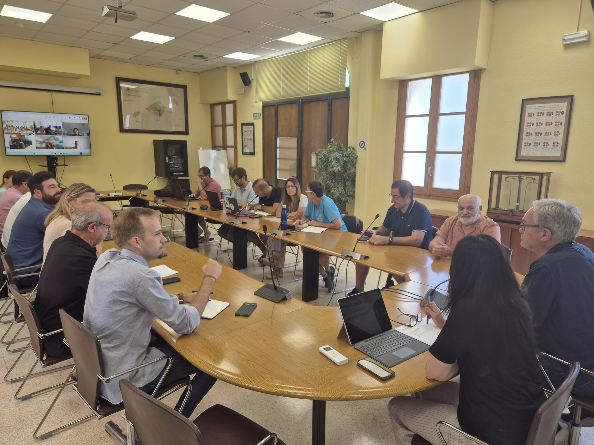 El Govern impulsa un pla pioner per protegir taurons i rajades a les Illes Balears