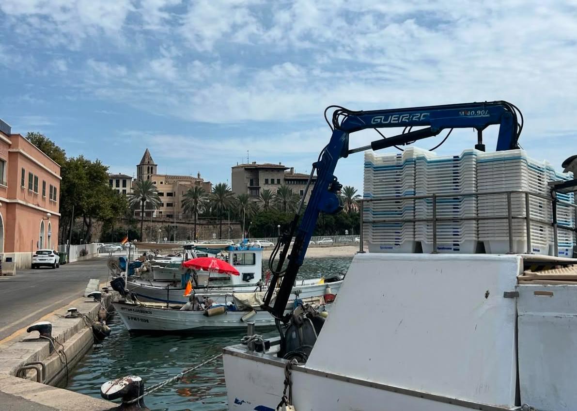 El Govern treu a informació pública el nou decret de regulació de les confraries de pescadors
