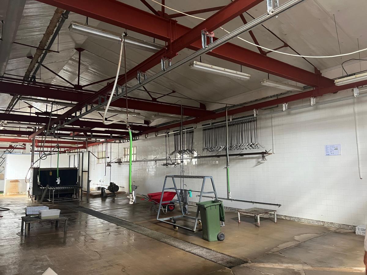 El Consell inverteix 850.000 euros en la modernització de l’escorxador municipal de Maó