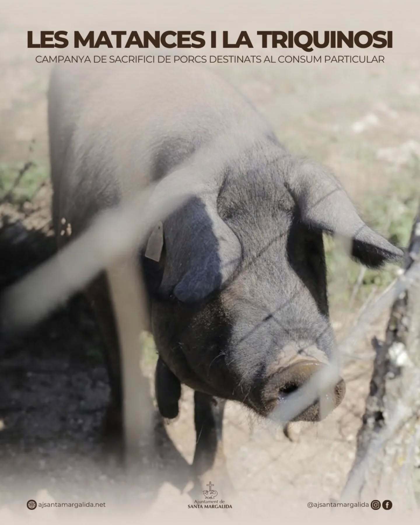 El Govern recorda les normes sanitàries