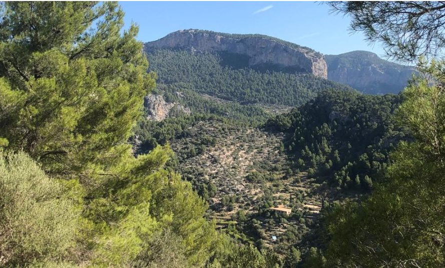 El Govern compra la finca de sa Bastida a Alaró per 1,5 milions d'euros
