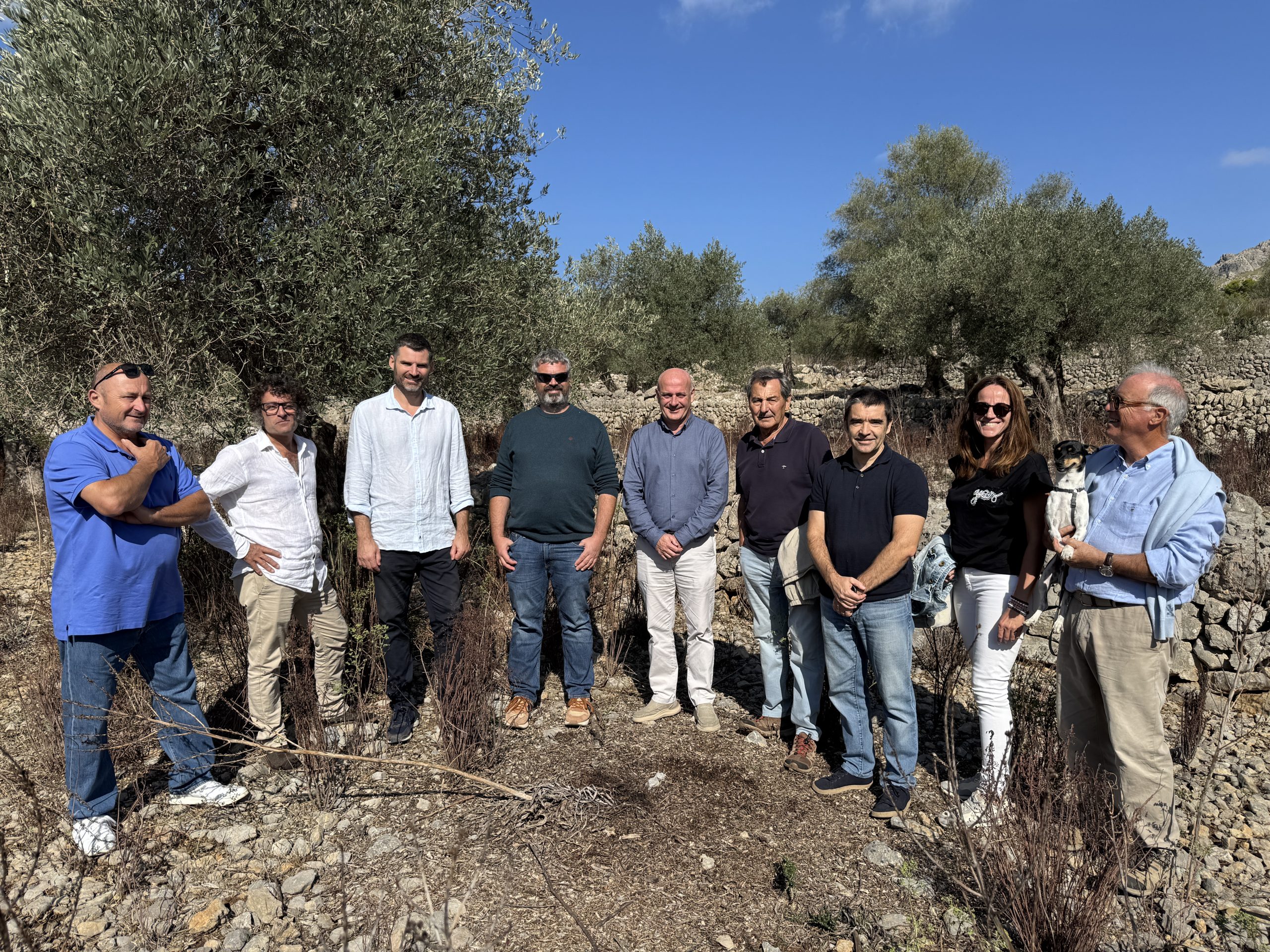 La temporada de l'oliva és poc satisfactòria per la manca de pluja