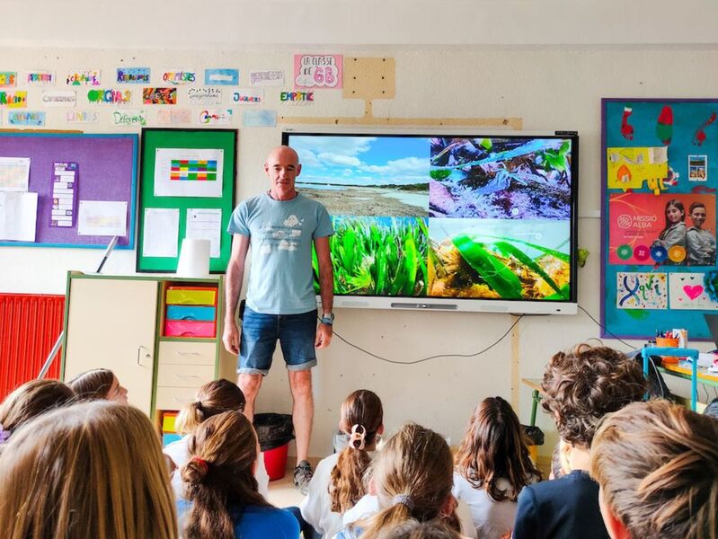 La Ciència Marina Arriba a les Aules: El Projecte "Posidònia a l'Aula" Impulsa l'Educació Ambiental
