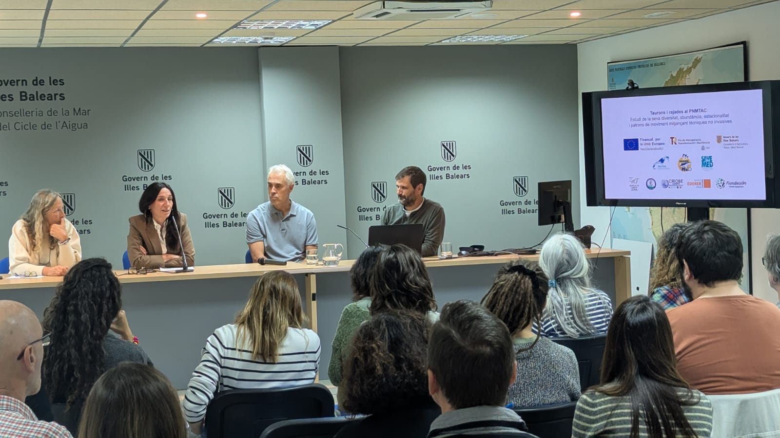 L’estudi més complet sobre taurons i rajades a Cabrera reclama més protecció