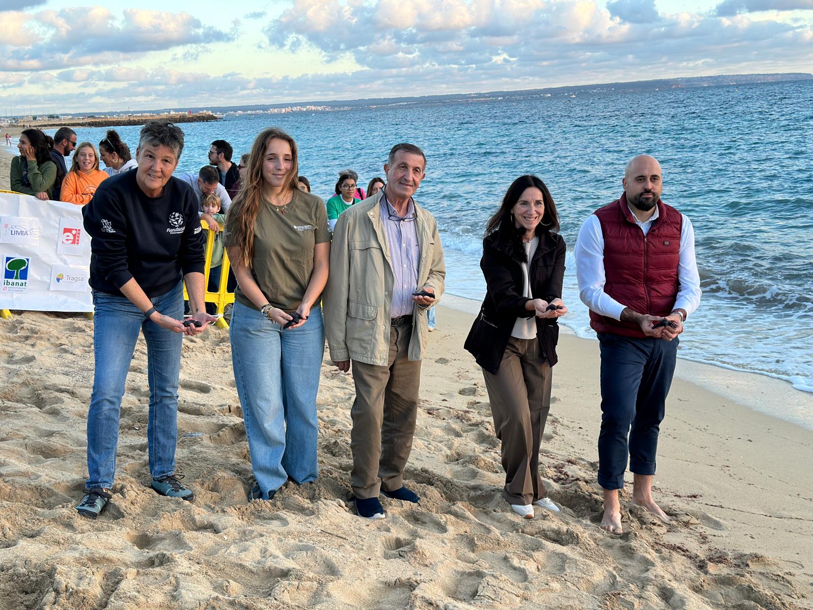 Cap a la mar les 34 tortugues que varen néixer aquest estiu a Can Pere Antoni