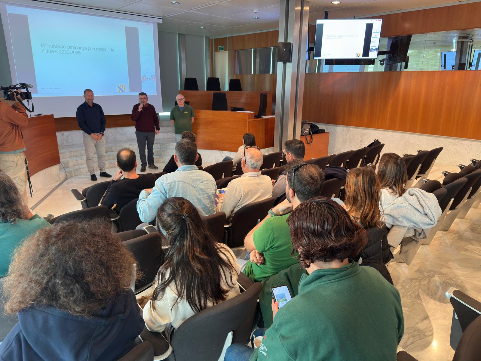 Eivissa i Formentera reforcen el control de la processionària amb tractaments aeris i terrestres fins a final d’any