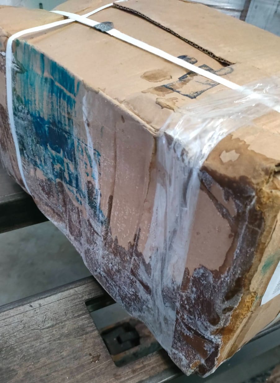 Retirades del mercat 20 tones de peix i marisc no aptes per al consum humà