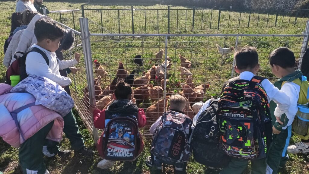 ‘Visitam un lloc’: 900 alumnes menorquins descobreixen l’agricultura sostenible