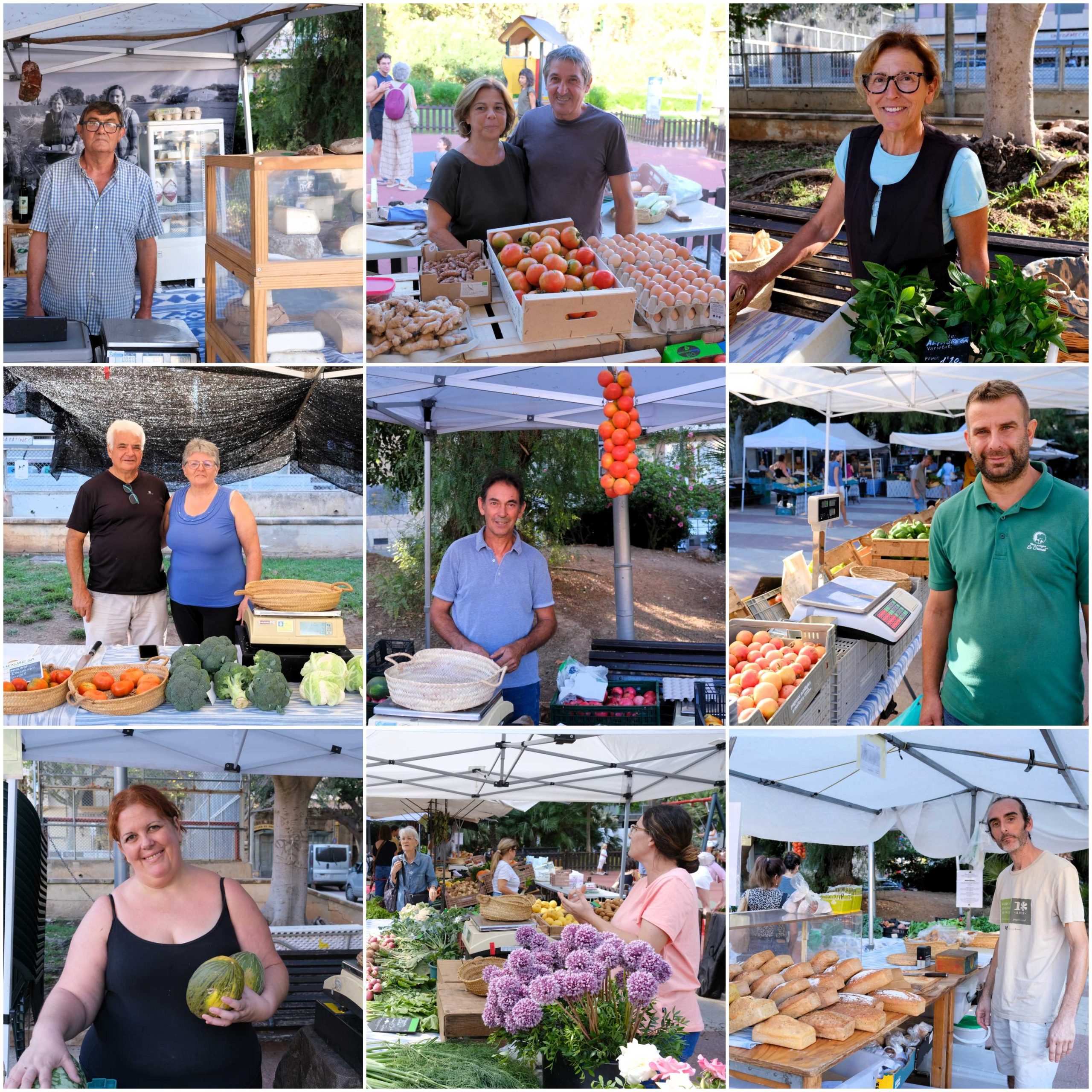Quinze anys de mercat ecològic a la Plaça dels Patins de Palma
