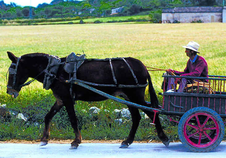 La digitalització del camp posa en qüestió el coneixement tradicional dels agricultors