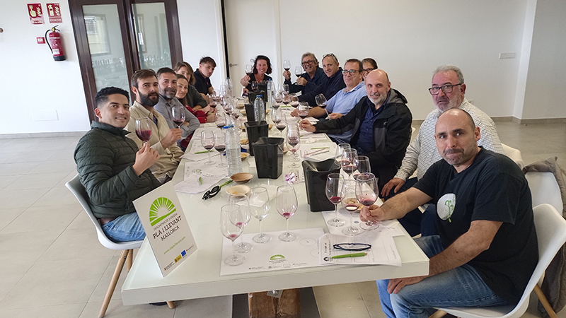 Per Sant Martí, enceta el vi. El primer tast augura una bona anyada