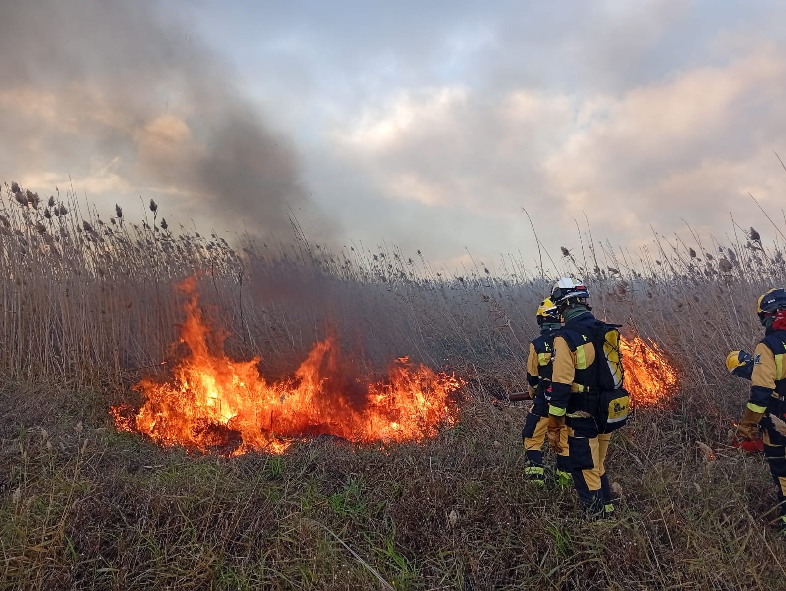 Foc tècnic a l'hivern per evitar incendis a l'estiu