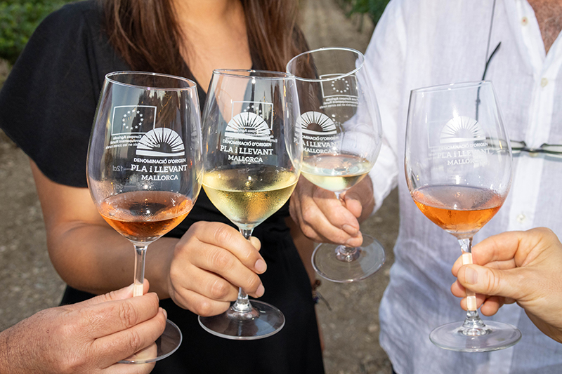 El canvi climàtic modifica l'acidesa del vi produït al Pla i Llevant